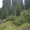 20190609-crf_0449_fp11_b.jpg