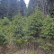 20190609-crf_0450_fp11_c.jpg