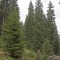 20190609-crf_0454_fb12.jpg