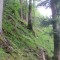 20150523_dorfbach_sachseln_08.jpg