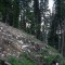 1998-06-16_r16-06-pt02.jpg