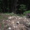 1998-06-16_r16-08-pt03.jpg