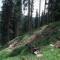 1998-06-16_r16-09-pt04.jpg
