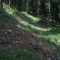 1998-06-16_r16-17-pt06.jpg