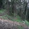 1998-06-16_r16-19-pt07.jpg