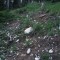1998-06-16_r16-22-pt08.jpg