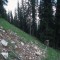 1998-06-16_r16-24-pt08.jpg
