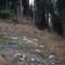 1998-10-23_r41-24-pt10a.jpg