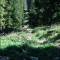 1997-09-27_q37-12-pt05.jpg