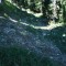 1997-09-27_q37-16-pt06.jpg
