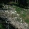 1997-09-27_q38-26-pt10b.jpg