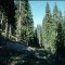 1997-09-27_q38-28-pt12.jpg