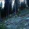 1997-09-27_q38-29-pt11.jpg