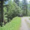 20140605_talwald_01.jpg