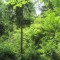20140605_talwald_05.jpg