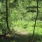20140605_talwald_06.jpg