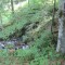 20140605_talwald_09.jpg