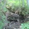 20140605_talwald_10.jpg