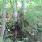 20140605_talwald_11.jpg