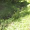 20140605_talwald_13.jpg