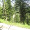 20140605_talwald_16.jpg