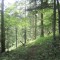 20140605_talwald_18.jpg