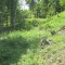 20140605_talwald_20.jpg