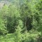 20140605_talwald_22a.jpg