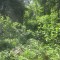 20140605_talwald_22h.jpg