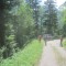 20200625_talwald_01.jpg
