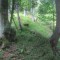 20200625_talwald_04.jpg