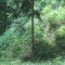 20200625_talwald_05.jpg