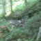 20200625_talwald_09.jpg