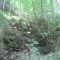 20200625_talwald_10.jpg