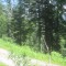 20200625_talwald_16.jpg