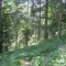 20200625_talwald_18.jpg