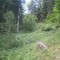 20200625_talwald_20.jpg