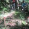 20200625_talwald_24.jpg